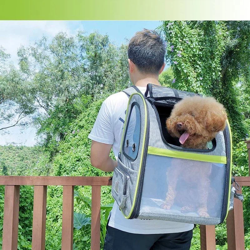 202012171032363cef0f29629642bfbd34667768bc655a