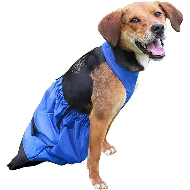 Bossa de bolquers de cadell d'ocell